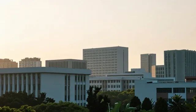 项目管理方案中的场景分析与优化策略，提升执行效率